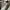 Maison Margiela Luxury Minimalist Casual shoe Pria white cream photo 2
