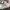 New Balance Streetwear Sportswear Sneakers Pria white photo 6