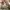 New Balance Streetwear Sportswear Sneakers Pria white photo 8