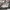 Nike Streetwear Sportswear Sneakers Pria white gray photo 2