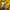 Polo Ralph Lauren Y2K Casual Polo shirt Pria black yellow photo 4