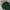Casual Polo shirt Pria green photo 1