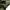Uniqlo Streetwear Casual Casual pants Pria green photo 7