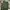 Uniqlo Streetwear Casual Casual pants Pria green photo 6