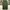 Uniqlo Streetwear Casual Casual pants Pria green photo 4
