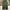 Uniqlo Streetwear Casual Casual pants Pria green photo 3