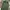 Uniqlo Streetwear Casual Casual pants Pria green photo 5