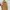 Minimalist Shoulder bag Wanita tan photo 6