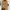 Minimalist Shoulder bag Wanita tan photo 4