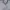 Luxury Minimalist Cardigan Pria Gray