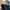 Charles and Keith Minimalist Casual Handbag Wanita tan photo 4