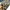 Charles and Keith Minimalist Casual Handbag Wanita tan photo 6