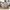 Minimalist Casual Shoulder bag Wanita tan photo 1