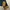 Loewe Y2K Luxury High waisted jeans Wanita navy photo 4