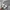 Asics Streetwear Sneakers Pria multicolor photo 5