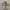 Burberry Y2K Casual Formal shirt Pria white khaki photo 1