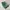 Gung Ho Streetwear Casual Formal Pants Pria Green