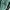 Gung Ho Streetwear Casual Formal pants Pria green photo 6
