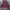 Streetwear Sweater Wanita Burgundy