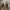 Superga Streetwear Casual Sneakers Pria white cream photo 7