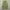 GU Gorpcore Sweatpants & Joggers Pria gray photo 4