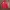 Streetwear Sportswear Bomber jacket Pria red photo 1