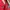 Streetwear Sportswear Bomber jacket Pria red photo 3
