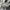 Pelle Pelle Vintage Y2K T-shirt Pria gray photo 3