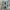 Adidas Streetwear Casual Sneakers Pria gray blue photo 4