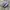Adidas Streetwear Casual Sneakers Pria gray blue photo 1