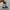 Adidas Streetwear Casual Sneakers Pria gray blue photo 5