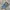 Adidas Streetwear Casual Sneakers Pria gray blue photo 3