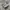 Nike Streetwear Casual Sneakers Wanita multicolor photo 1