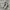 Nike Streetwear Casual Sneakers Wanita multicolor photo 3