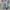 Nike Streetwear Casual Sneakers Wanita multicolor photo 6