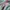 Nike Streetwear Casual Sneakers Wanita multicolor photo 2