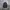 Carhartt Streetwear Skater Bag Pria Black