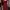 Coquette Evening dress Wanita red photo 1