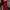 Coquette Evening Dress Wanita Red