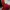 Coquette Evening dress Wanita red photo 3