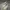 Converse Streetwear Grunge Sneakers Pria white cream photo 1