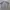 Nike Sportswear Jersey Pria white photo 1