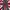 Burberry Casual Casual trouser Wanita burgundy navy photo 3