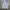 Covernat Streetwear Skater Hoody Pria gray photo 1