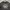 Carhartt Streetwear Casual Sweatshirt Pria black photo 2