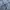Burberry Casual Polo shirt Pria blue photo 3