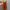 Shein Luxury Going out dress Wanita orange photo 1