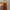 Shein Luxury Going out dress Wanita orange photo 2