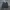 Dickies Skater Sweatshirt Pria gray photo 1