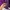 Gorpcore Sportswear Windbreaker Pria purple photo 5